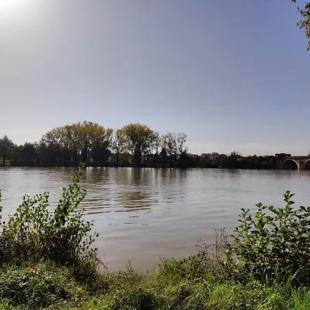 Nuit Etoilee מוסאק