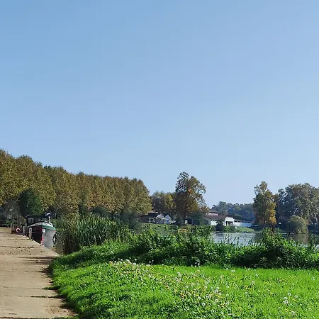 Nuit Etoilee מוסאק