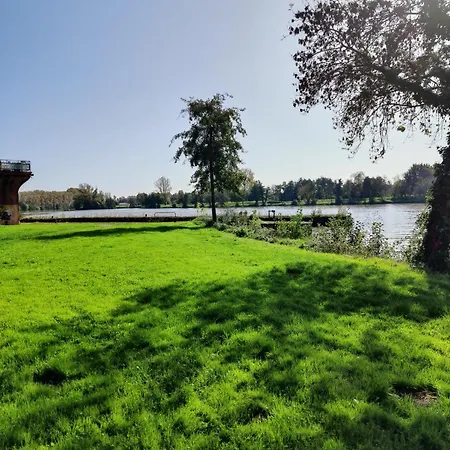 Nuit Etoilee * מוסאק